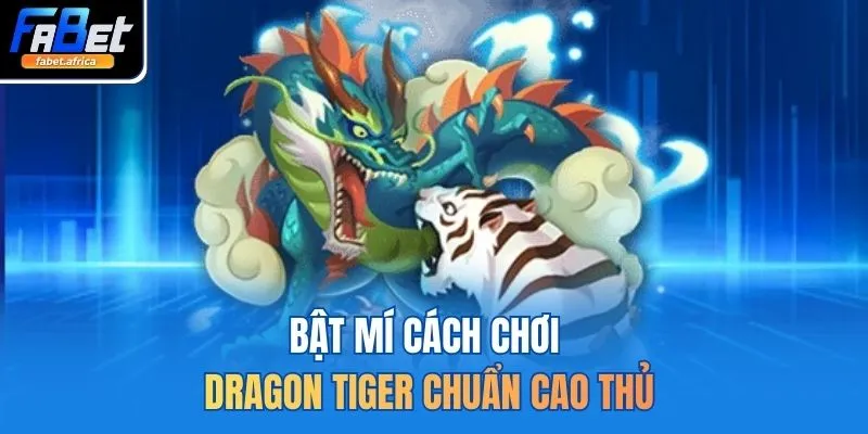 Bật mí cách chơi dragon tiger chuẩn cao thủ