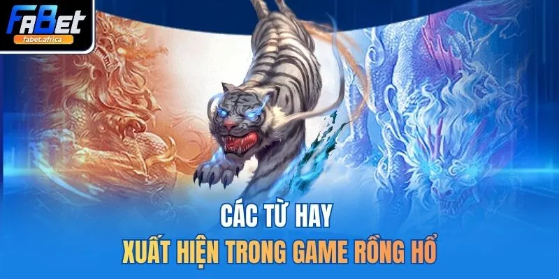Các từ hay xuất hiện trong game rồng hổ