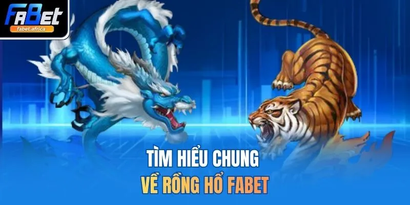 Tìm hiểu chung về rồng hổ FABET